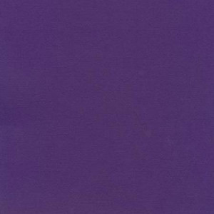 Papier Bazzill Toile 30,5 x 30,5 cm - 216 g/m² - Violet Pansy