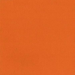 Papier Bazzill Toile 30,5 x 30,5 cm - 216 g/m² - Orange Apricot