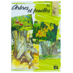 Album d'étude n°45 arbres et feuilles