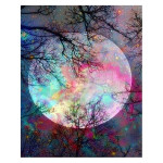 Peinture par numéros Pleine Lune aux reflets multicolores